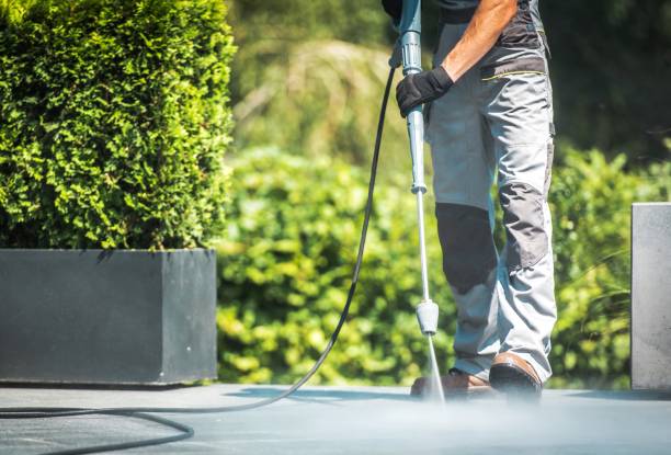 Best Rust Removal  in Franklinville, NJ