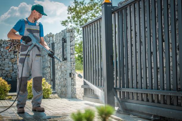 Best Graffiti Removal  in Franklinville, NJ
