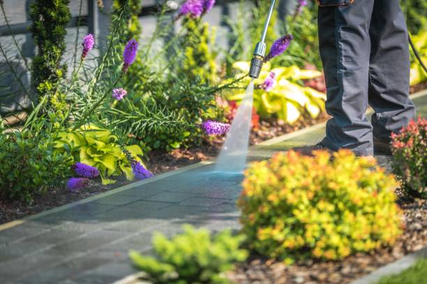 Best Parking Lot and Garage Cleaning  in Franklinville, NJ