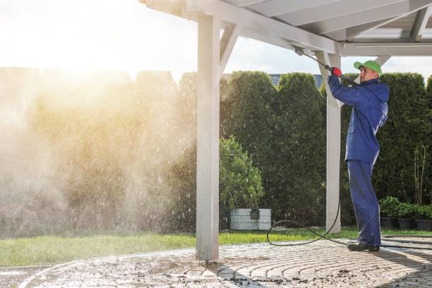 Solar Panel Cleaning in Franklinville, NJ