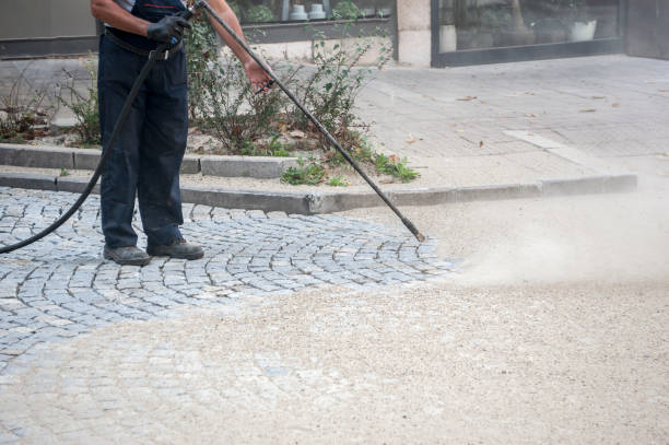 Best Gutter Cleaning  in Franklinville, NJ