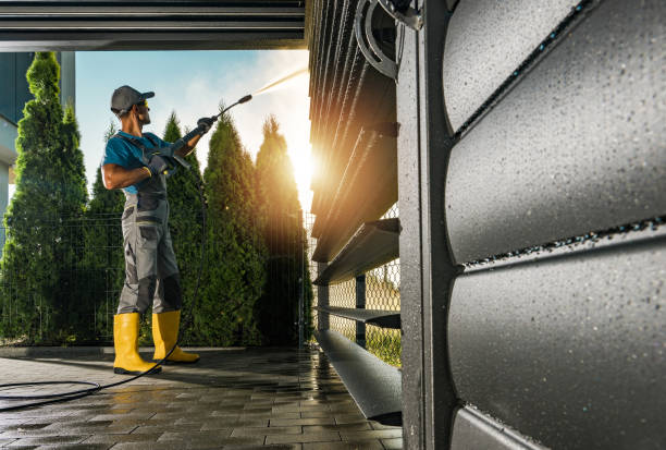 Best Solar Panel Cleaning  in Franklinville, NJ